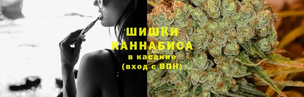 сатива Белоозёрский