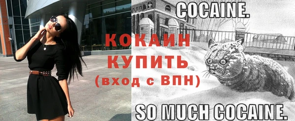 spice Беломорск