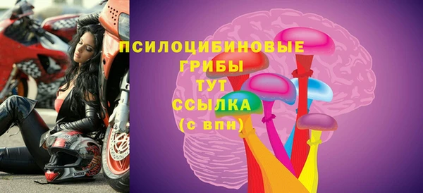 амф Балахна