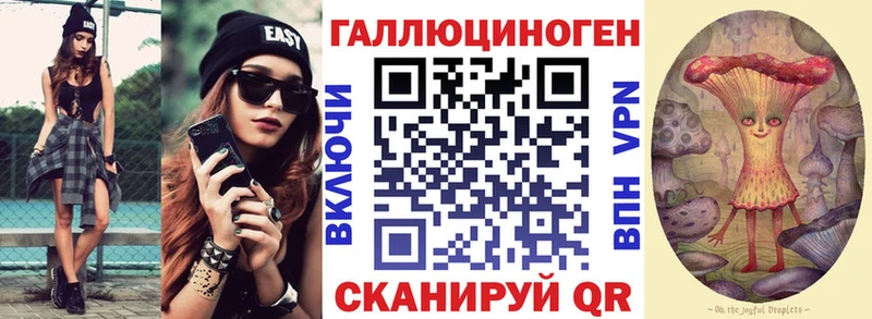 гидра рабочий сайт  Малая Вишера  Псилоцибиновые грибы Psilocybe 